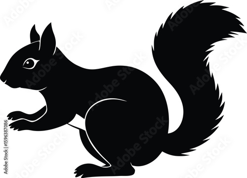 best squirrel graphic vector for nature projects