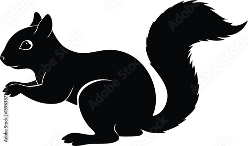squirrel vector illustration for wildlife design
