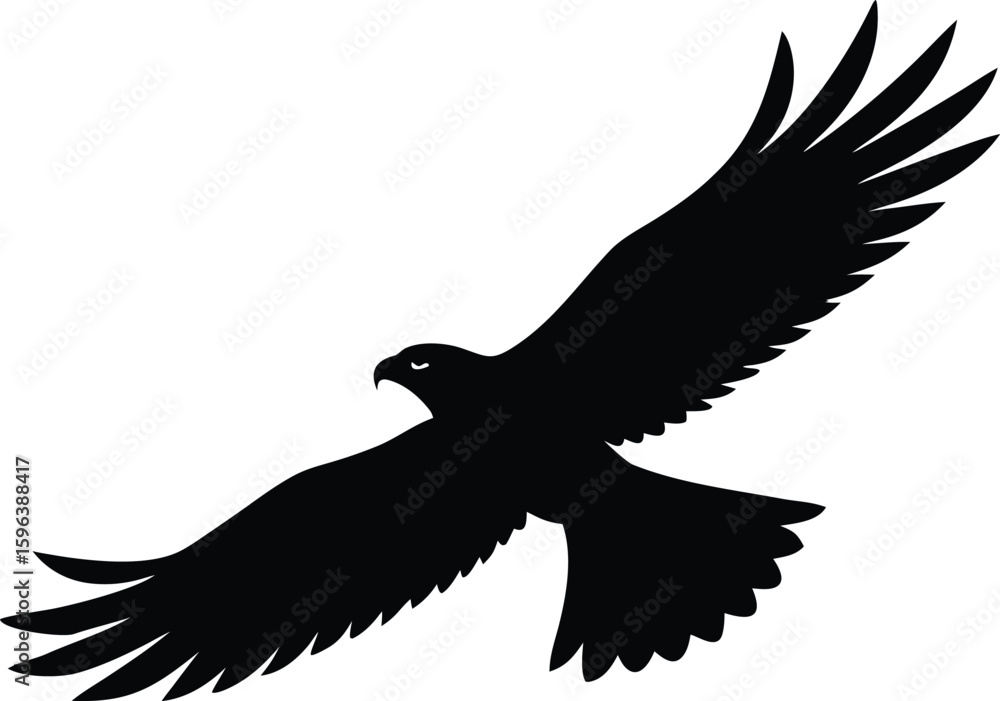 Fototapeta premium majestic hawk flying graphic for wildlife themes