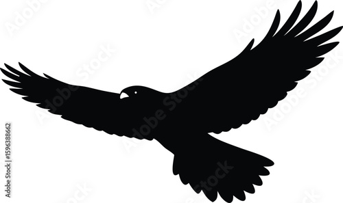hawk flying eagle vector illustration for design