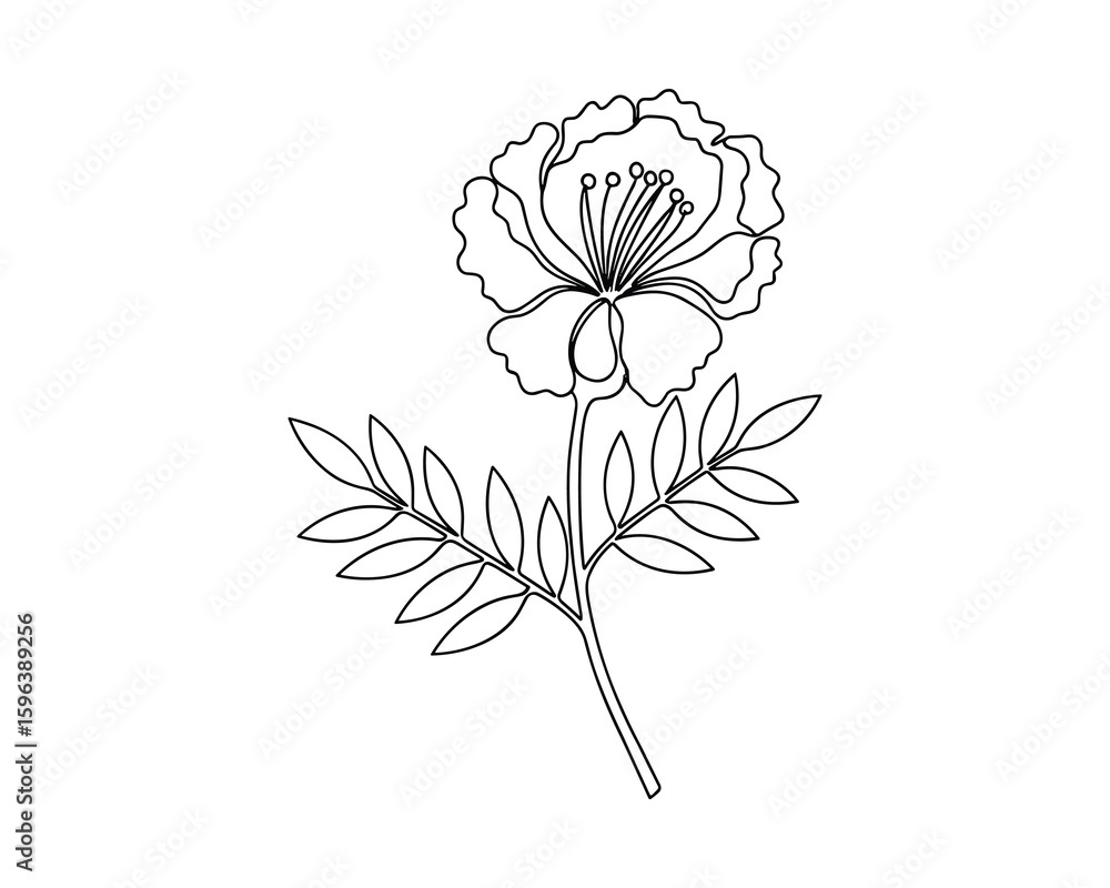 Fototapeta premium Elegant Flower Branch Line Art, Detailed Petals, Blossom Design, Natural Floral Motif, Botanical Illustration, Vector Illustration