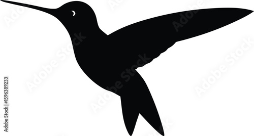 hummingbird hovering vector illustration for floral design