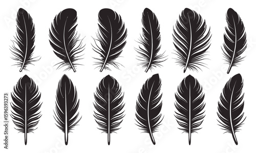 Set of black feathers vector for natural plumage and bird element decoration