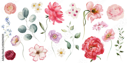 Watercolor floral elements set - bright peach color, white, pink, blue flowers, rose, peony, poppy, tulips, sweet pea, chamomile, ranunculus, buttercups. Green branches. Wedding invitation, clipart.