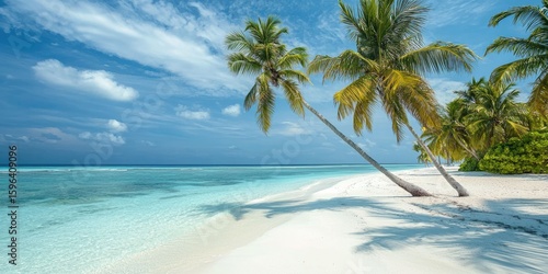 Fototapeta Naklejka Na Ścianę i Meble -  Coconut palms leaning over white sand beach in Maldives