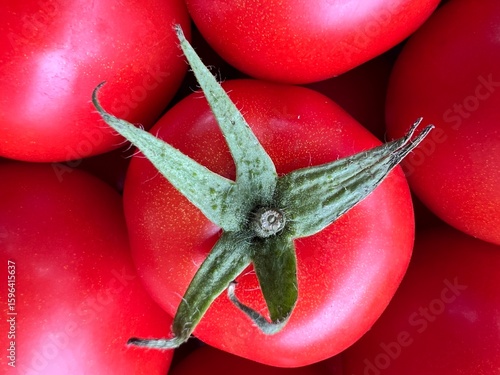 Domowe piękne pomidory, na drewnianej desce, 100% Polska wieś 