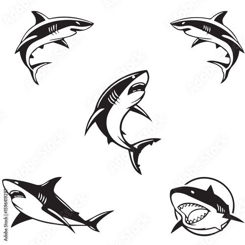 set of shark
