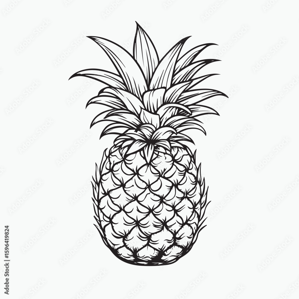 Obraz premium pineapple vector illustration