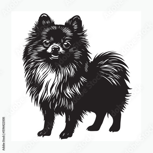 vector illustration of a dog