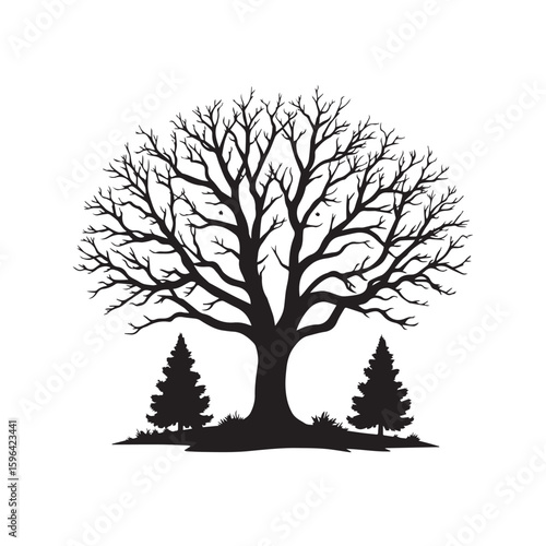 Majestic silhouette of a large deciduous tree with bare branches and two evergreen trees in winter