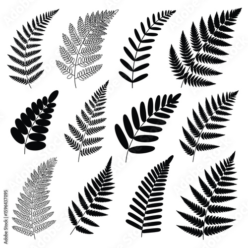 Collection of black and white fern leaf silhouettes