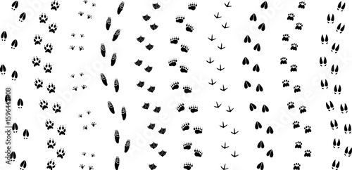 Paw print silhouette. Isolated paw print on white background