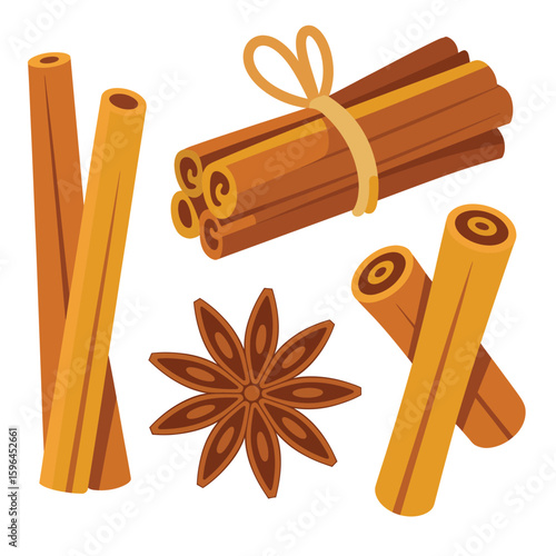 Cinnamon sticks and star anise spice collection