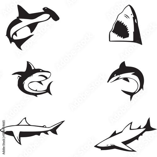 vector set of fish