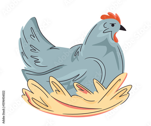Colorful laying hen in a nest isolated on white. Hand drawn poultry. Vector chicken illustration. Bright, organic design for local farm, urban homesteading, fresh food, and countryside life