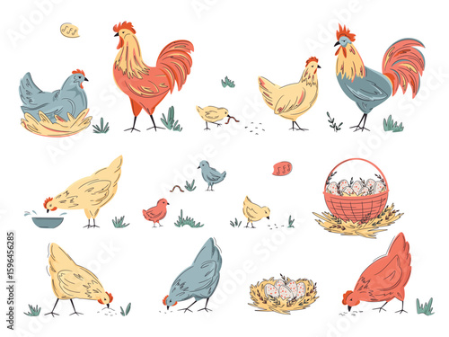 Set of colourful hens, roosters and chikens isolated on white. Hand drawn poultry. Vector backyard chickens illustration. Bright design for local farm, urban homesteading, fresh food, countryside life