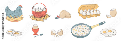 Set of colourful laying hen; eggs, cardboard; eggshell; fried, boiled abd scrambled eggs isolated on white. Bright, organic design for protein breakfast,  local farm, urban homesteading, fresh food
