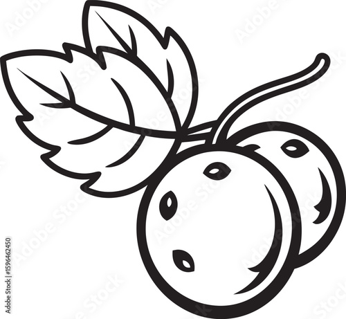 vector illustration of a black and white cranberry illustration
