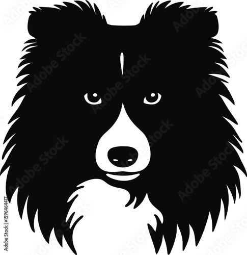 Shetland Sheepdog head silhouette with fluffy fur, almond eyes, and elegant muzzle for herding breed