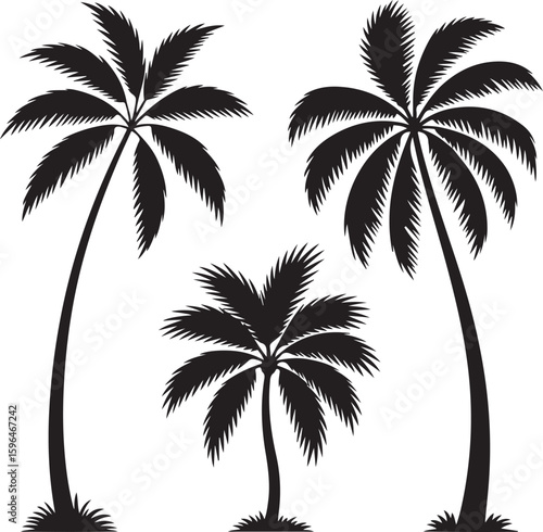 Three black palm trees with fronds and grass tropical nature