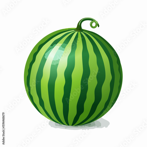 A vibrant illustration of a ripe green watermelon with dark stripes and a curling stem on a clean white background