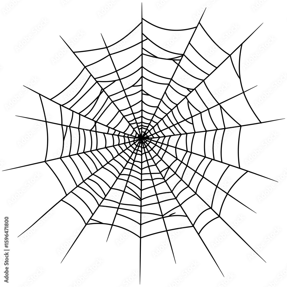 Fototapeta premium Spider Web Vector Silhouettes on White Background
