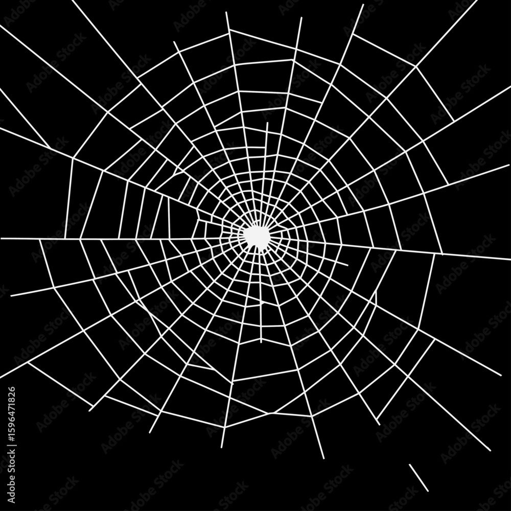 Obraz premium White spider web Vector illustration centered on a solid black background. Ideal for Halloween themes, spooky decorations, horror graphics, or nature-related designs with a dark tone.