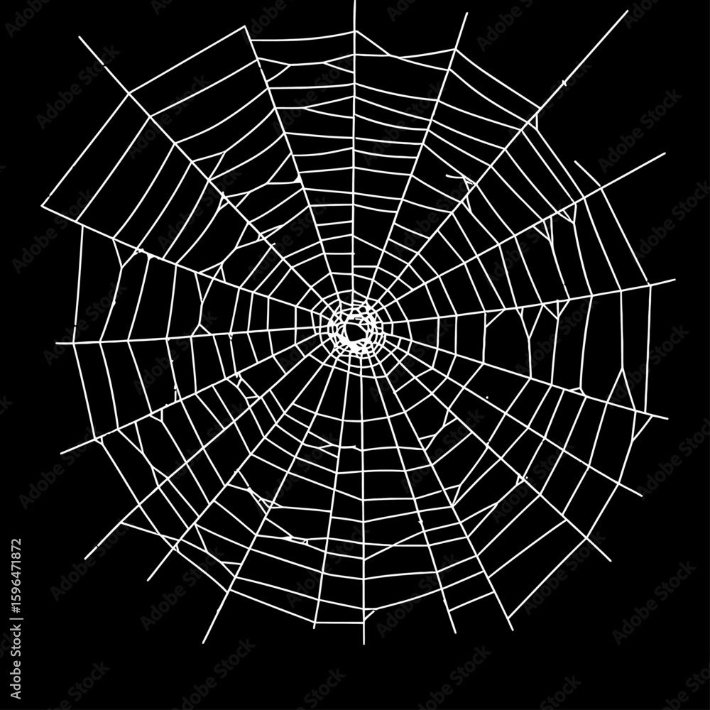 Obraz premium White spider web Vector illustration centered on a solid black background. Ideal for Halloween themes, spooky decorations, horror graphics, or nature-related designs with a dark tone.