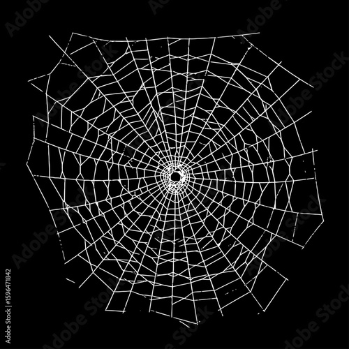White spider web Vector illustration centered on a solid black background. Ideal for Halloween themes, spooky decorations, horror graphics, or nature-related designs with a dark tone.