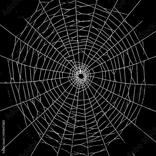 White spider web Vector illustration centered on a solid black background. Ideal for Halloween themes, spooky decorations, horror graphics, or nature-related designs with a dark tone.