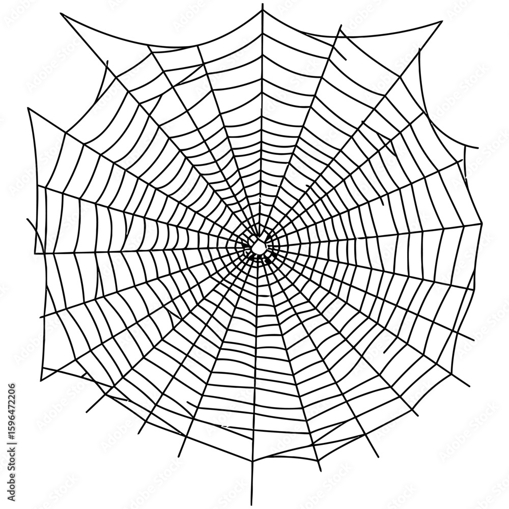 Obraz premium Spider Web Vector Silhouettes on White Background