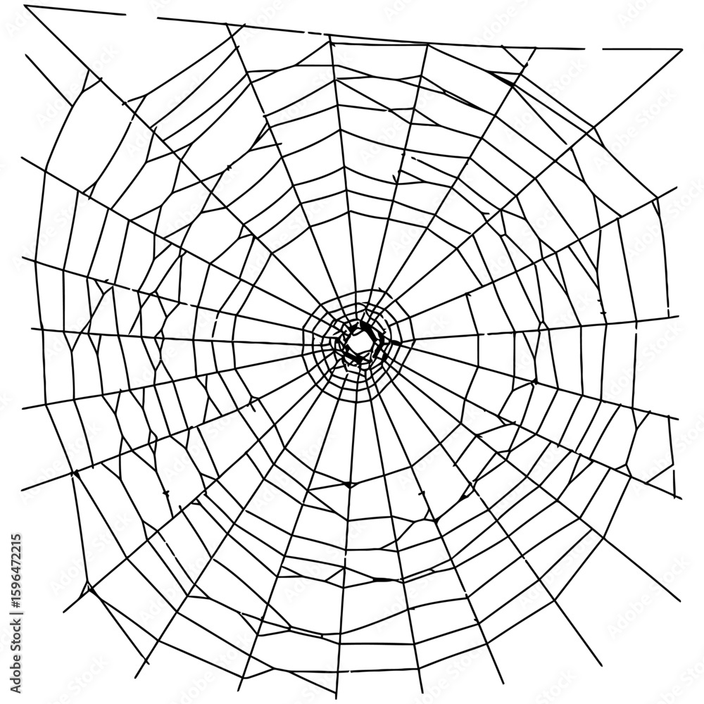 Obraz premium Spider Web Vector Silhouettes on White Background