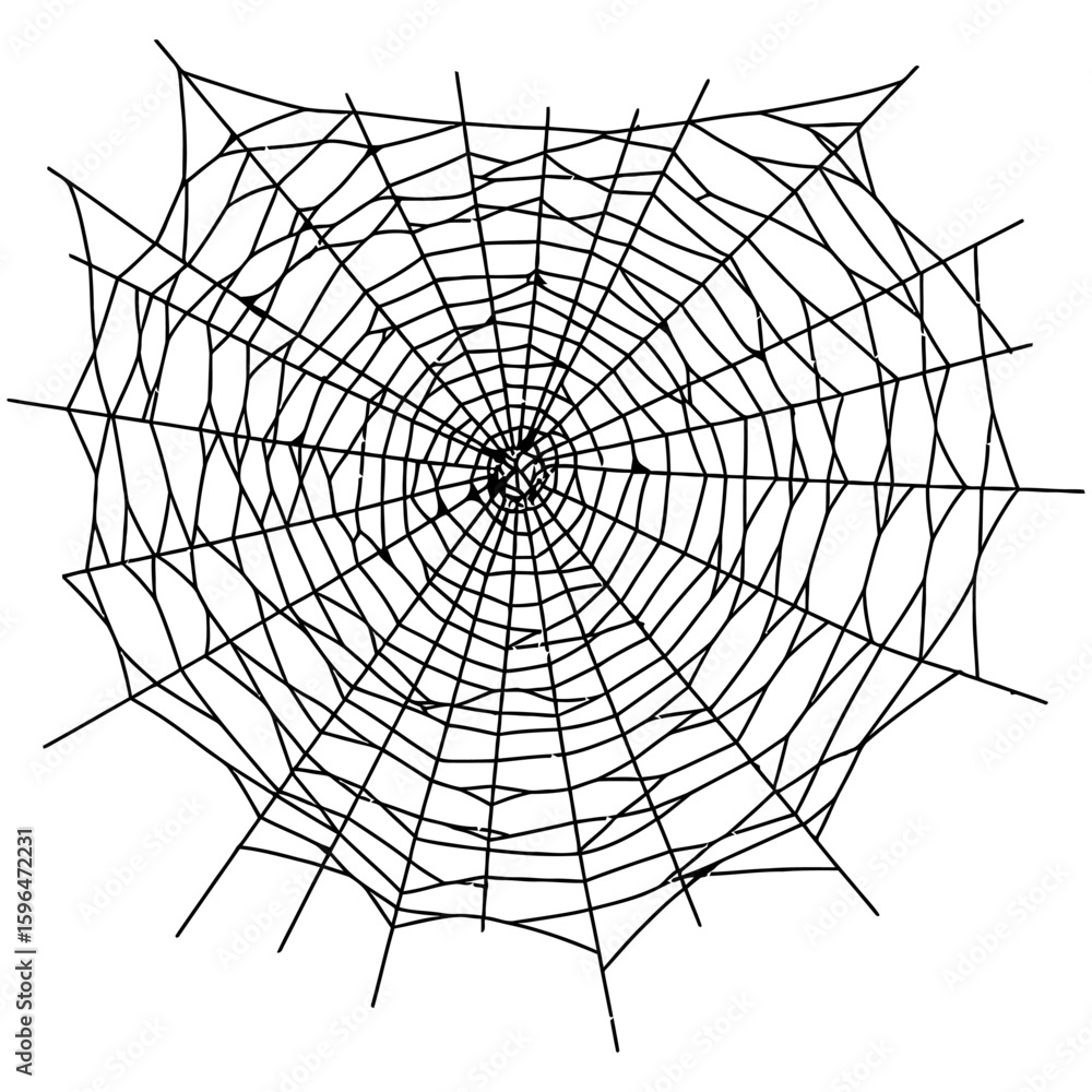 Obraz premium Spider Web Vector Silhouettes on White Background
