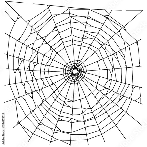 Spider Web Vector Silhouettes on White Background