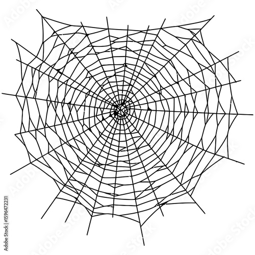 Spider Web Vector Silhouettes on White Background