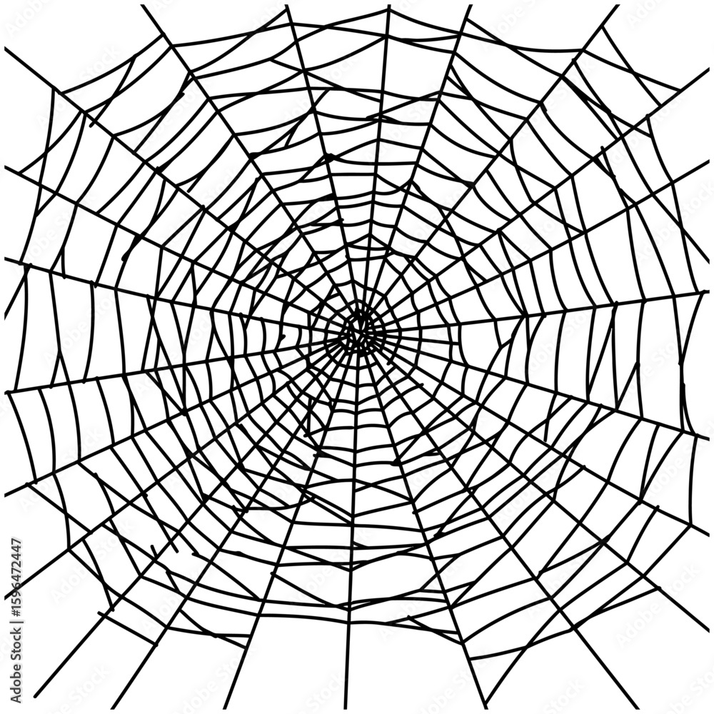 Obraz premium Spider Web Vector Silhouettes on White Background