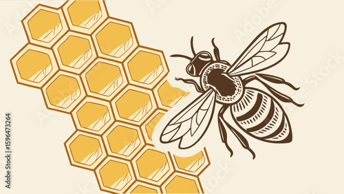 Bee and honeycomb illustration vector graphic design for honey products and beekeeping business needs vector