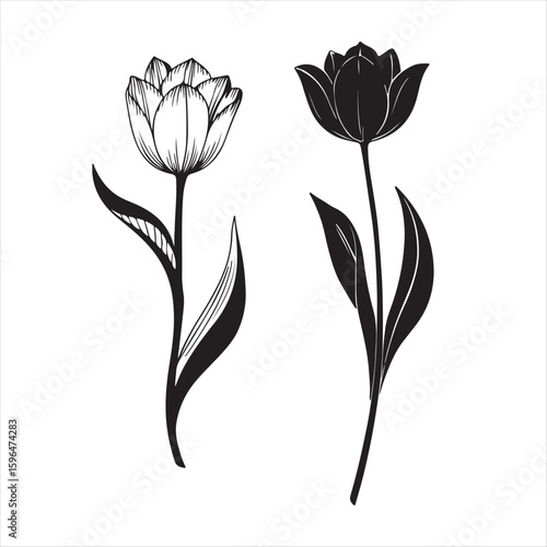 tulip flower silhouette vector minimalist black