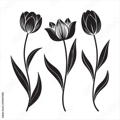 tulip flower silhouette vector minimalist black