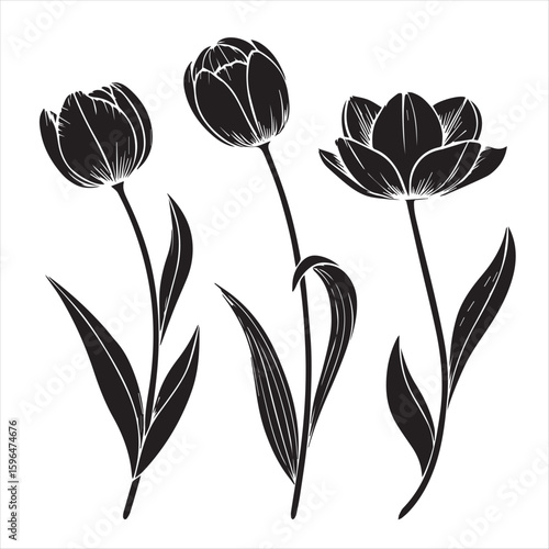 tulip flower silhouette vector minimalist black