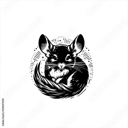 Stylized Black and White Chinchilla Illustration.