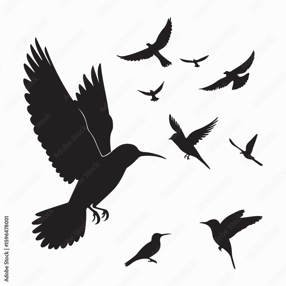 Obraz premium Silhouette of Birds in Flight, a Vector Design