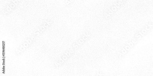 Abstract vector noise. Grunge texture overlay with fine grain isolated on a white background. Vector eps10