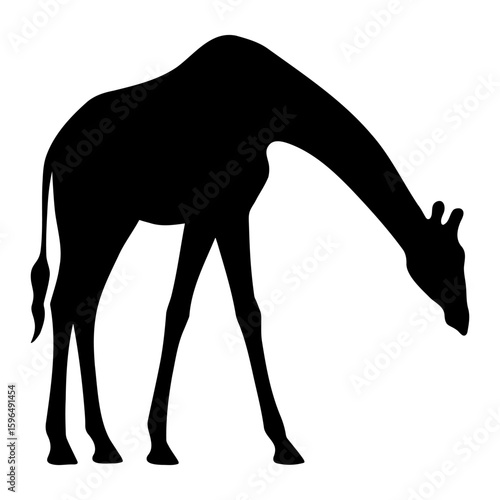 Giraffe silhouette bending down to eat