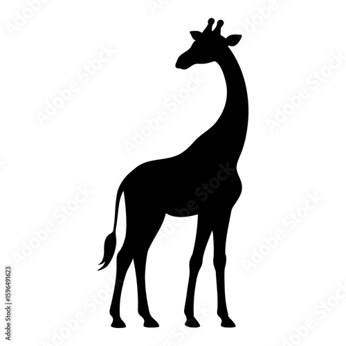 Giraffe silhouette looking back over its shoulder