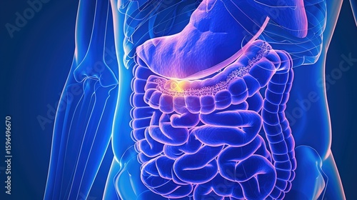 Pancreatic Cyst: Types, Diagnosis, and Treatment Approaches in Pancreatic Pathology