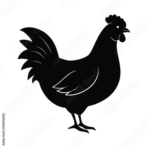 Black silhouette of a chicken standing on a white background
