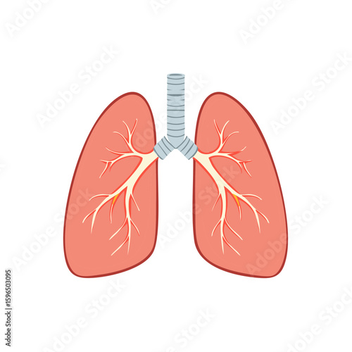 Stylized lung illustration depicting bronchi and trachea for medical or educational purposes