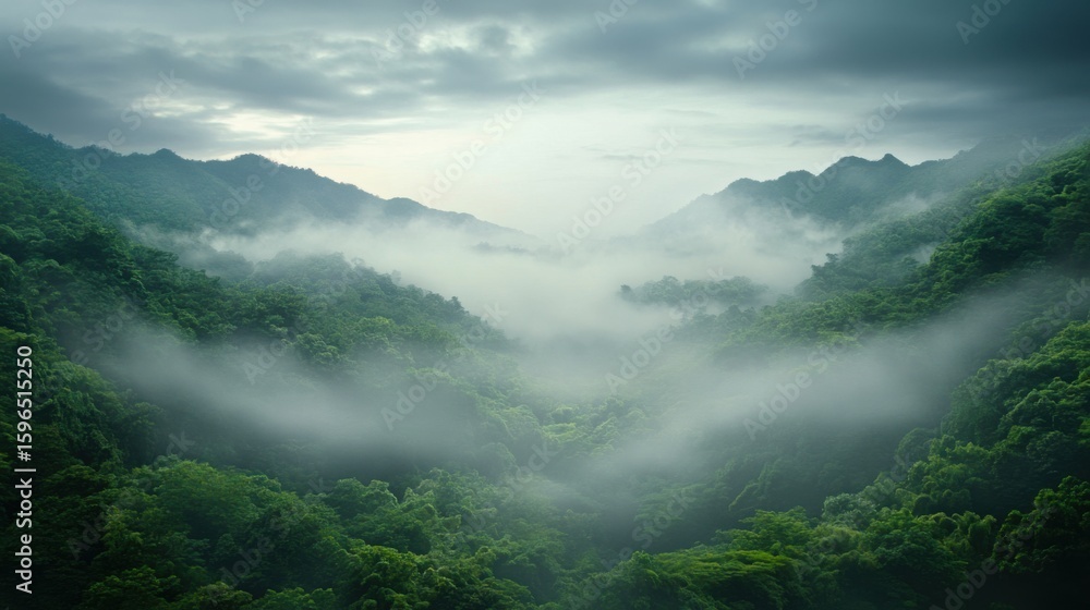 Obraz premium Scenic View of Lush Green Mountains with Mist and Clouds in Valley