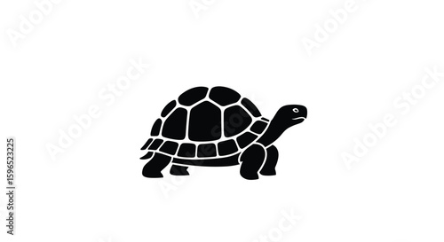 An illustrated outline of a tortoise moving slowly through a white background